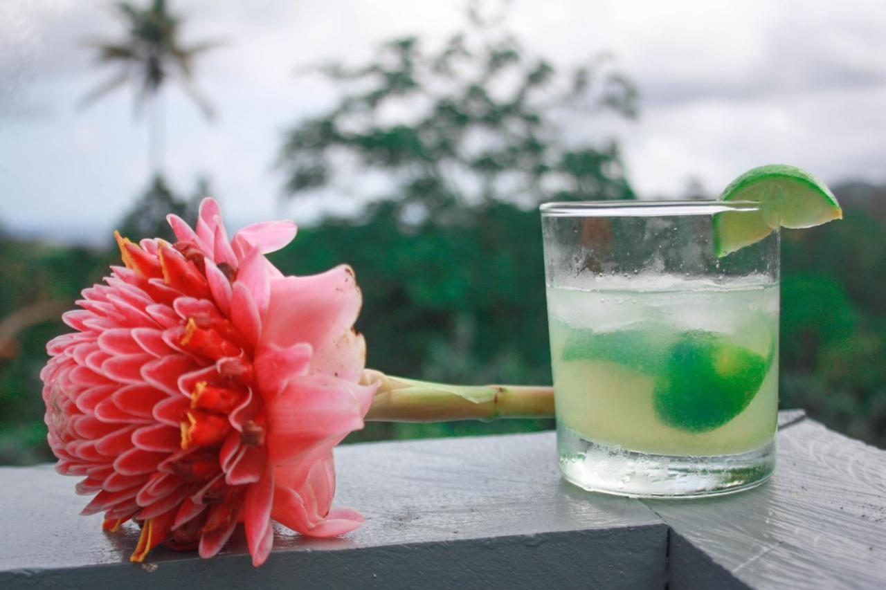 Casa Cantagalo - Guest House & Bar Restaurant Santana المظهر الخارجي الصورة